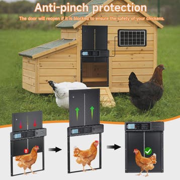 Automatische Kippenhok Deur met Zonnepaneel, Timer & Afstand, Verzenden, Nieuw