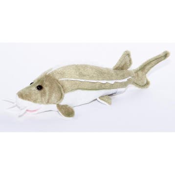Pluche steur knuffel - 25 cm - vis - groen/wit, Verzenden, Nieuw