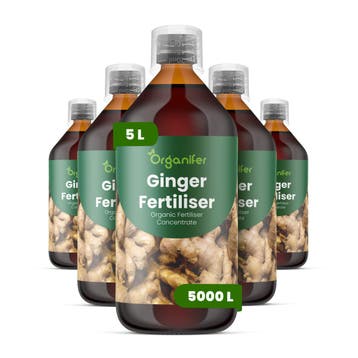 Gember vloeibare meststof - Set 5x1 liter, Tuin en Terras, Aarde en Mest, Verzenden, Mest