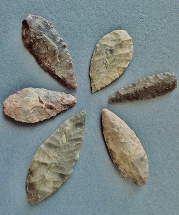 Sahara Silex Pijlpunt (Zonder minimumprijs)
