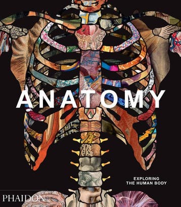 Anatomy | Phaidon Editors; Thomas Schnalke; Dame Sue Black, Ophalen of Verzenden, Nieuw, Phaidon Editors; Thomas Schnalke; Dame Sue Black