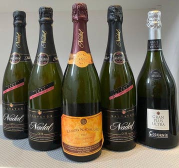 1997 Finca Nadal de la Boadella, RNG Extra Brut, 2003, Verzamelen, Nieuw