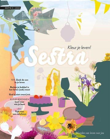 Sestra Magazine Zomer 9789464251784, Verzenden, Zo goed als nieuw