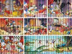 Donald Duck Pockets/Rugtekeningen, Weekbladensets & Vakantie, Boeken, Verzenden, Complete serie of reeks, Zo goed als nieuw, Donald Duck