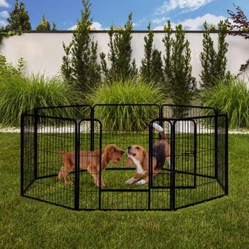 Metalen puppyren - 8-delig, Dieren en Toebehoren, Verzenden, Nieuw