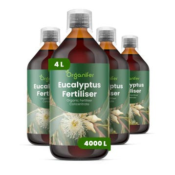 Eucalyptus Vloeibare Meststof - 4x1 liter, Verzenden, Mest