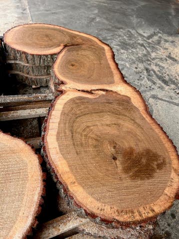 20X Boomstamschijf, eik, complete partij 460,- REF 785, 25 tot 50 mm, Verzenden, Eiken, Overige typen