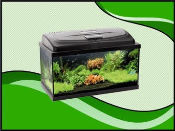 AQUA4 START 60 recht aquarium set compleet (Aquarium sets), Verzenden, Nieuw