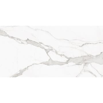 Vloertegel Alaplana P.E. Palladio Statuario Mat Satin 60x120, Ophalen of Verzenden, Nieuw, Overige typen