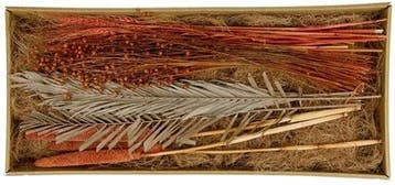 Droogbloempakket Exotic mix tray Terracotta, Ophalen of Verzenden, Nieuw