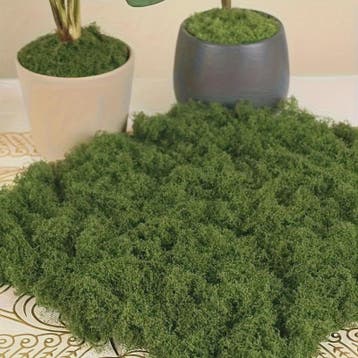 Kunstmos Groen - Decoratief Kunstgras voor DIY Projecten, Tu, Tuin en Terras, Verzenden, Nieuw