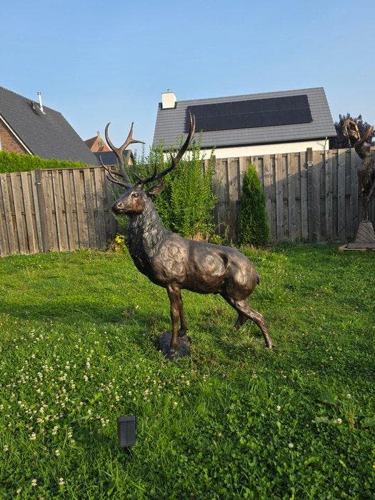 Beeld, Bronze: XL Deer - 171 cm - Brons - 2026, Antiek en Kunst, Curiosa en Brocante
