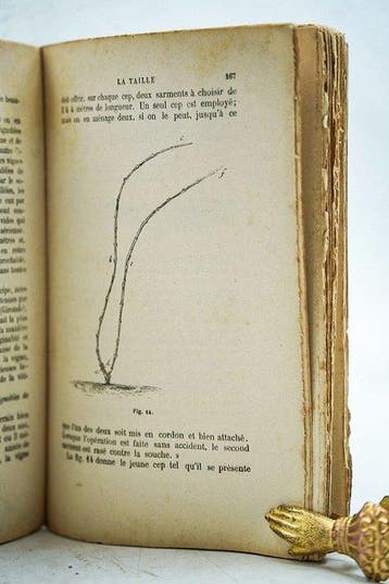 A. Bedel - Les nouvelles méthodes de culture de la vigne et, Antiek en Kunst