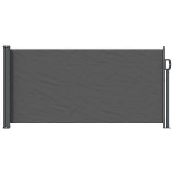 vidaXL Uittrekbaar Zijscherm 300 x 100 cm Polyester, Verzenden, Nieuw