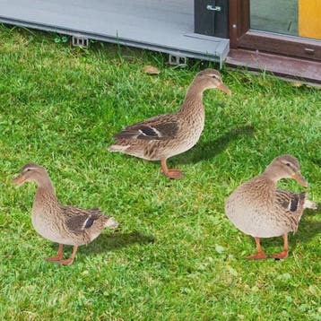 Levendige Acryl Eend Tuindecoratie met Paal - Vrolijke Tuinf, Verzenden, Nieuw