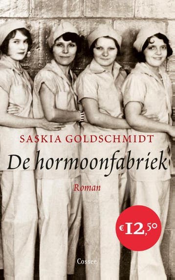 De hormoonfabriek - Saskia Goldschmidt 9789059364882, Verzenden, Zo goed als nieuw, Saskia Goldschmidt