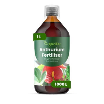 Anthurium Vloeibare Meststof - 1 Liter, Verzenden, Mest