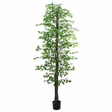 vidaXL Kunst Ficus Plant 2016 Bladeren 300 cm groen, Verzenden, Nieuw