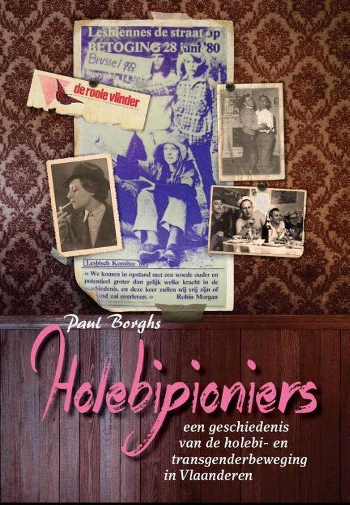 Holebipioniers 9789490952174 Paul Borghs, Boeken, Politiek en Maatschappij, Zo goed als nieuw, Verzenden