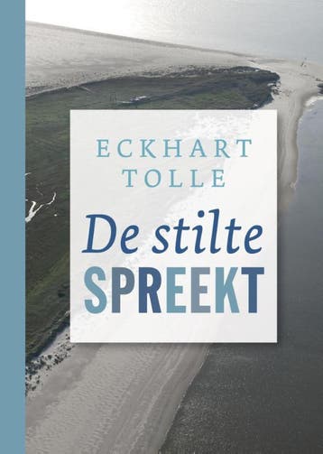 De stilte spreekt - Eckhart Tolle 9789020212990, Verzenden, Gelezen, Eckhart Tolle
