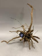 Driftwood Selected DW15 - 31x60x50cm (Small drift wood), Dieren en Toebehoren, Vissen | Aquaria en Toebehoren, Ophalen of Verzenden