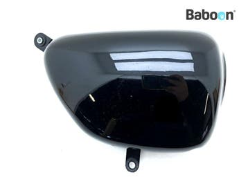 Buddypaneel Rechts Kawasaki W 800 2011-2016 (W800), Motoren, Onderdelen | Kawasaki, Verzenden, Gebruikt