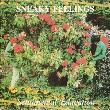 cd - Sneaky Feelings - Sentimental Education, Verzenden, Zo goed als nieuw