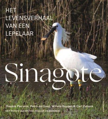 9789056157227 Sinagote Theunis Piersma, Verzenden, Nieuw, Theunis Piersma