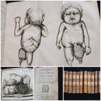 Comité central de la Société de Médecine du Département de