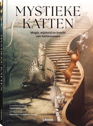 Mystieke katten - Fabiana Belmonte 9789464991994, Verzenden, Zo goed als nieuw, Fabiana Belmonte