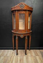 Vitrinekast - Hout, Brons, Glas, Messing, IJzer, plexiglas -