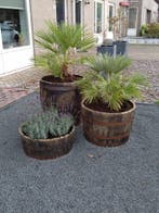 Halve whiskyvaten - bloembakken - stoer en uniek - eikenhout, Rond, Nieuw, Ophalen of Verzenden, Balkon