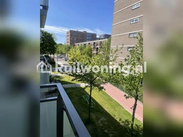 Vanuit Schiedam naar Rotterdam centrum of noord,