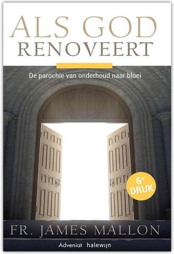 Als God renoveert - James Mallon 9789492093776, Verzenden, Zo goed als nieuw, James Mallon