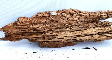 Osaka XL231 uniek aquarium decoratie hout  165x50x38 cm, Ophalen of Verzenden, Nieuw, Plant(en), Steen of Hout