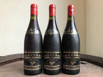 2014 Domaine Camus - Charmes-Chambertin Grand Cru - 3, Nieuw