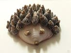 Codakia Tigerina schelpen 1 kilo, Ophalen of Verzenden, Nieuw