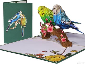2 Fraaie Parkieten gezellig samen op een bloementak Pop-u..., Verzenden, Nieuw