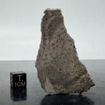 Koolstofhoudende chondriet CK6 SUEILILA 006 ZEER ZELDZAM