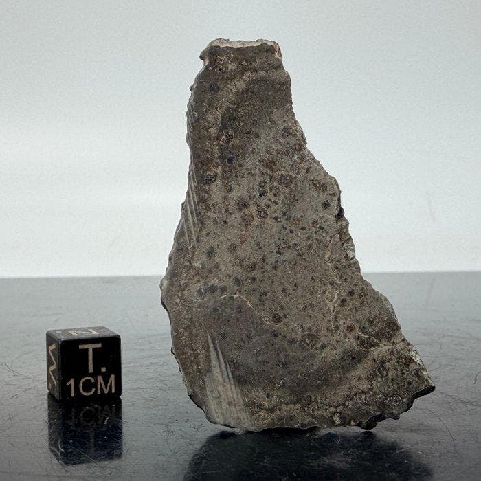 Koolstofhoudende chondriet CK6 SUEILILA 006 ZEER ZELDZAM, Verzamelen, Mineralen en Fossielen