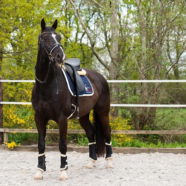 Ziektekostenverzekering Koliek slechts 9 euro p/m, Dieren en Toebehoren, Paarden en Pony's | Overige Paardenspullen, Nieuw