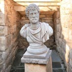 sculptuur, Busto imperatore romano Adriano - 43 cm - Steen