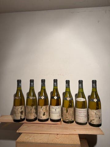 1989 Domaine Bichot - Bourgogne AC Bourgogne - 7 Fles (0,75, Nieuw