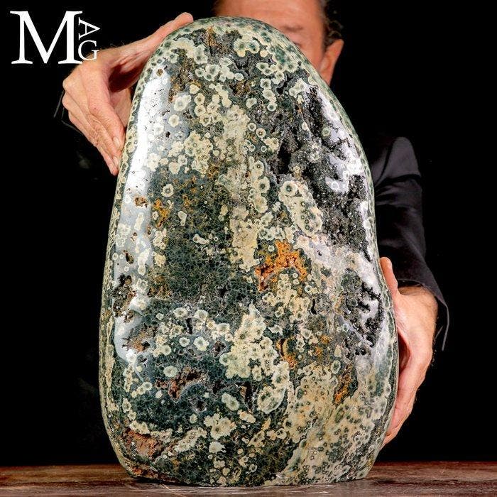 De ZELDZAME Orbicular Oceanic Jasper uit Madagaskar Ocean, Verzamelen, Dierenverzamelingen