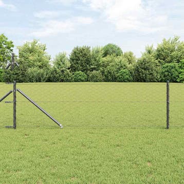 vidaXL Gecombineerd draadhek met spikes 100 x 0,6 m (B x H), Verzenden, Nieuw, IJzer