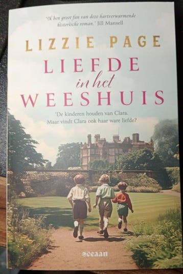 Het weeshuis 3 - Liefde in het weeshuis 9789046834763, Boeken, Verzenden, Gelezen, Lizzie Page