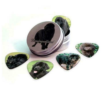 Blikje + plectrums met afbeelding van Newfoundlander hond, Ophalen of Verzenden, Nieuw