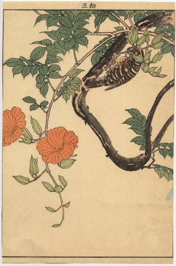 Bloemen en vogel uit Keinen Gachô Gafu - 1892 - Papier -
