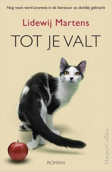 Tot je valt - Lidewij Martens 9789402728200, Verzenden, Gelezen, Lidewij Martens