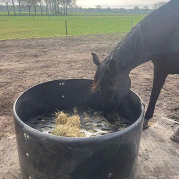 Hooiring met slowfeederdeksel – complete set, Ophalen of Verzenden, Nieuw